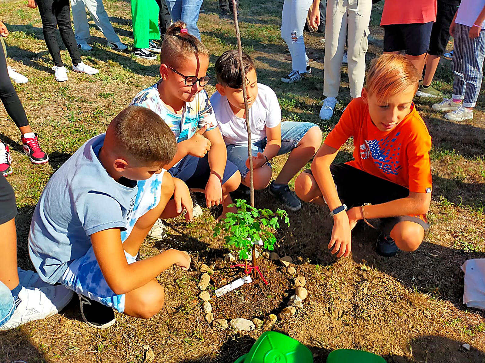 Alunni che piantano un albero in giardino